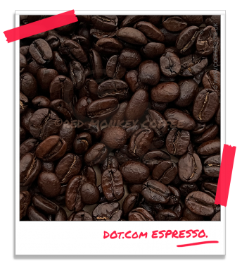 Dot.Com Espresso Coffee