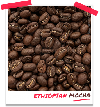 Ethiopian Mocha Coffee