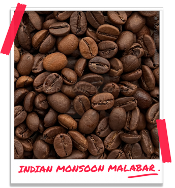 Indian Monsoon Malabar Coffee