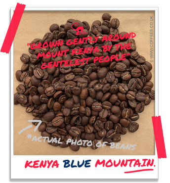 Kenyan AA Blue Mountain Coffee