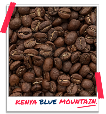 Kenyan AA Blue Mountain Coffee