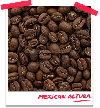 Mexican Altura Chiapas Organic Coffee
