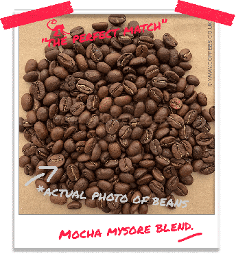 Mocha Mysore Blend Coffee