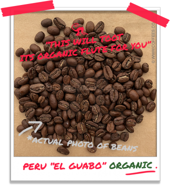 Peru 'El Guabo' Organic Coffee