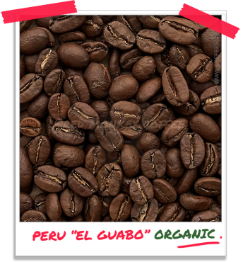 Peru 'El Guabo' Organic Coffee